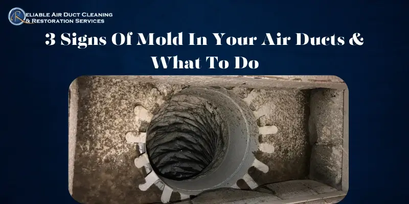 3 Signs Of Mold In Your Air Ducts & What To Do
