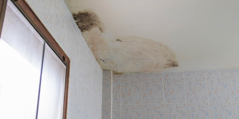 Mold On Bathroom Ceiling - Reliable Air Duct cleaning