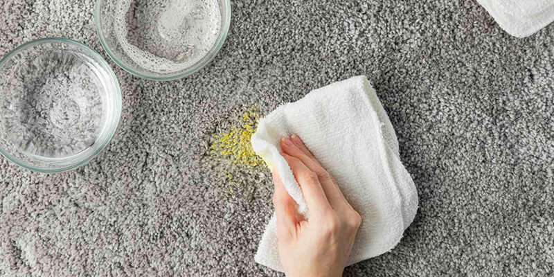 How to Get Dried Paint Out of Carpet - reliable air duct cleaning