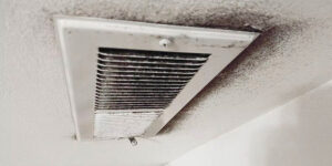 How to Test for Mold in Air Vents - Reliable Air Duct Cleaning Houston