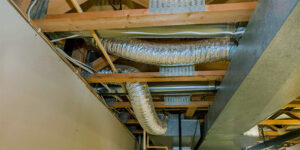 Its Scary What Could Be Lurking in Your Air Ducts - Reliable Air Duct Cleaning Houston