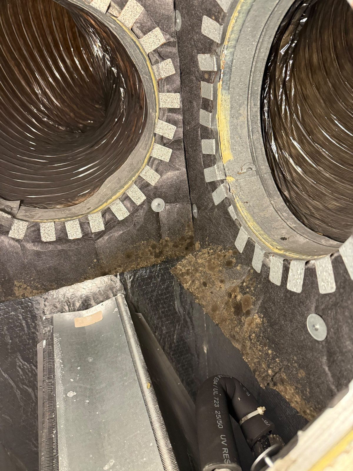 air handler coil with buildup during air duct cleaning in Cypress TX 77433